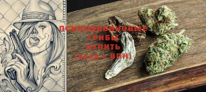 Псилоцибиновые грибы GOLDEN TEACHER  Покачи 